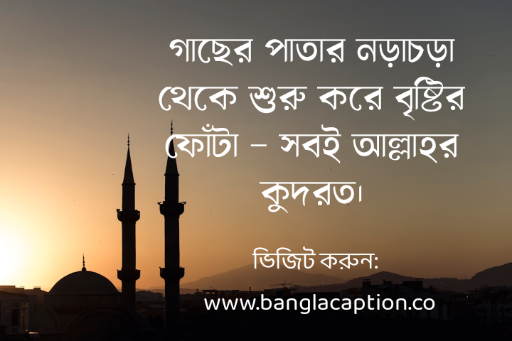 প্রকৃতি নিয়ে ইসলামিক স্ট্যাটাস ও ক্যাপশন