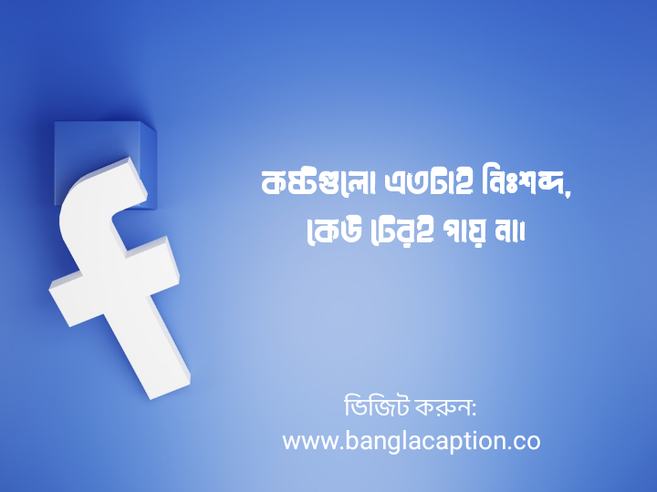 ফেসবুক ক্যাপশন কষ্টের
