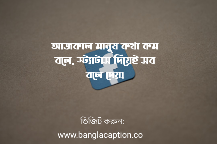 ফেসবুক স্ট্যাটাস