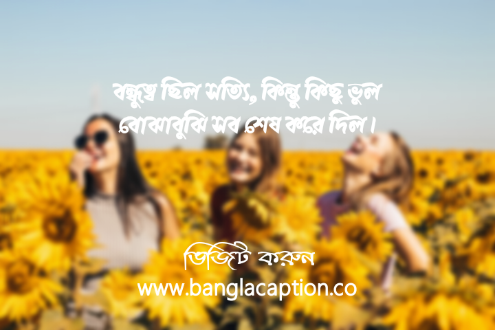 বন্ধু নিয়ে স্ট্যাটাস কষ্টের