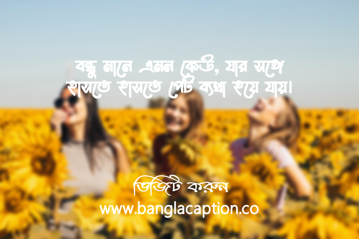বন্ধু নিয়ে স্ট্যাটাস ফানি